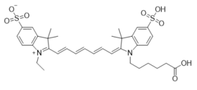 磺基-CY7 羧酸,Cy7