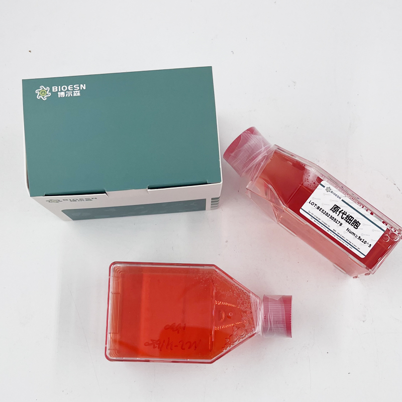 Human膜突蛋白(MSN) ELISA Kit,MSN ELISA Kit