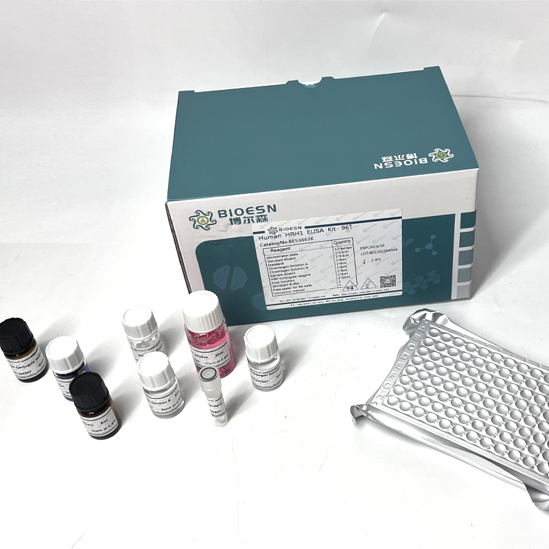 Human肾连蛋白(NPNT) ELISA Kit,NPNT ELISA Kit