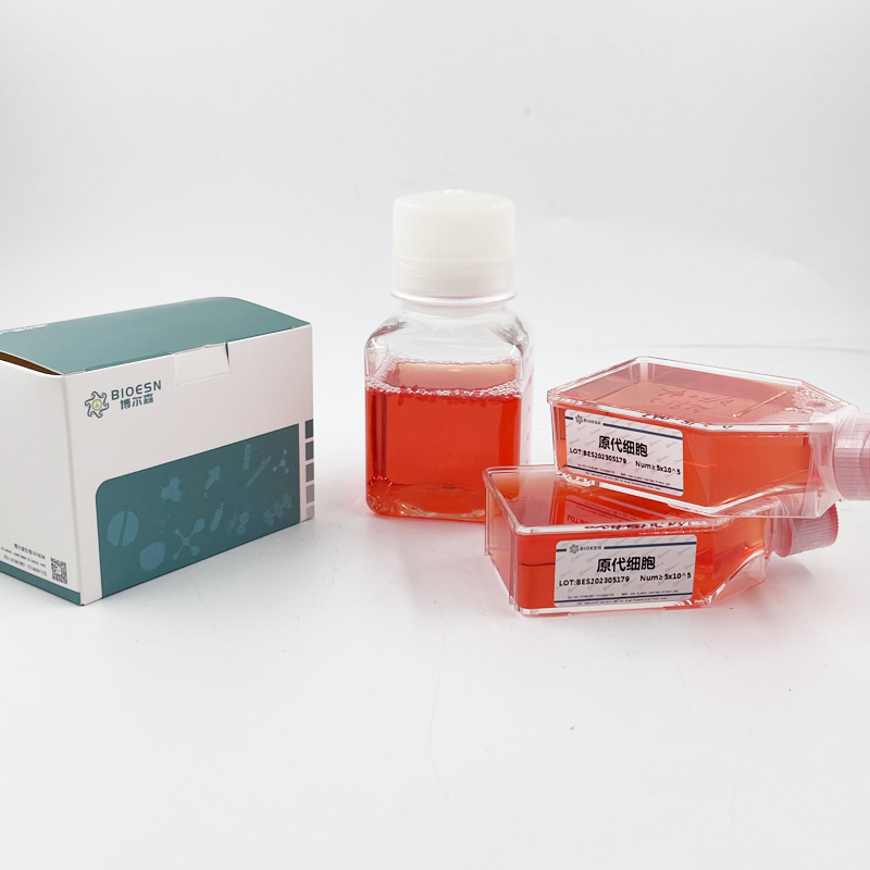 牛内皮细胞TEK酪氨酸激酶(Tie2) ELISA Kit,Cattle Tie2 ELISA Kit