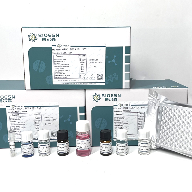 Human蛋白酶体亚基α5(PSMα5) ELISA Kit,PSMα5 ELISA Kit