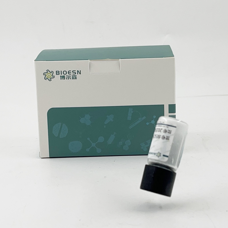 大鼠促性腺激素释放激素受体(GnRHR) ELISA Kit,GnRHR ELISA Kit