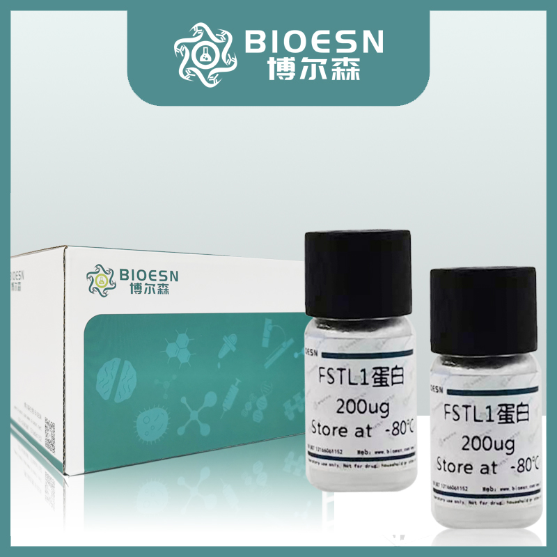 大鼠脂肪酸合酶(FASN) ELISA Kit,FASN ELISA Kit
