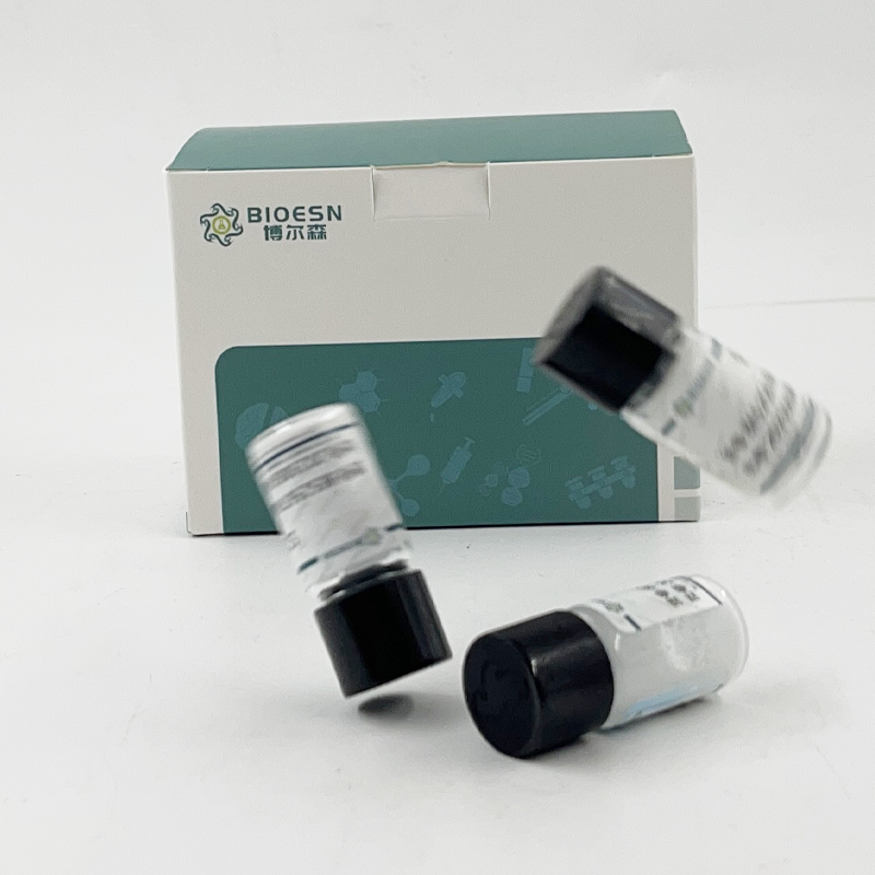 Human钙联蛋白(CNX) ELISA Kit,CNX ELISA Kit