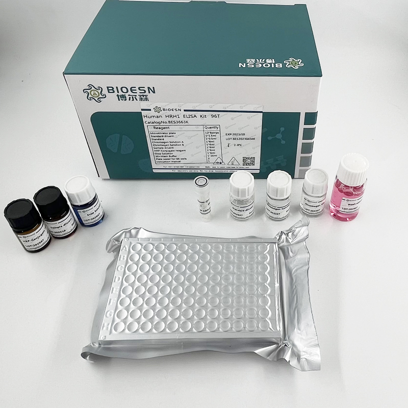 Human周期素依赖性激酶2(CDK2) ELISA Kit,CDK2 ELISA Kit