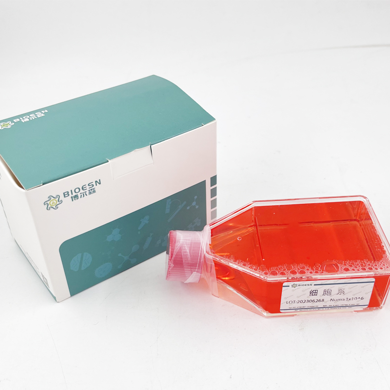 Human受体酪氨酸激酶样孤儿受体1(ROR1) ELISA Kit,ROR1 ELISA Kit