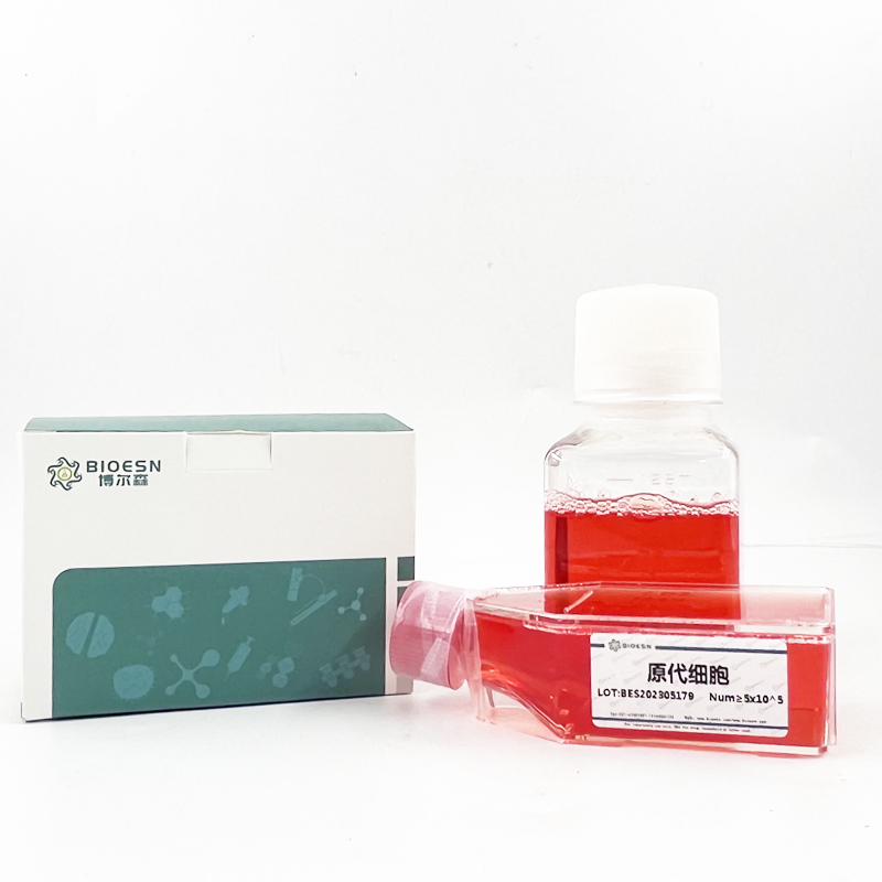 Human磷酸二酯酶10A(PDE10A) ELISA Kit,PDE10A ELISA Kit
