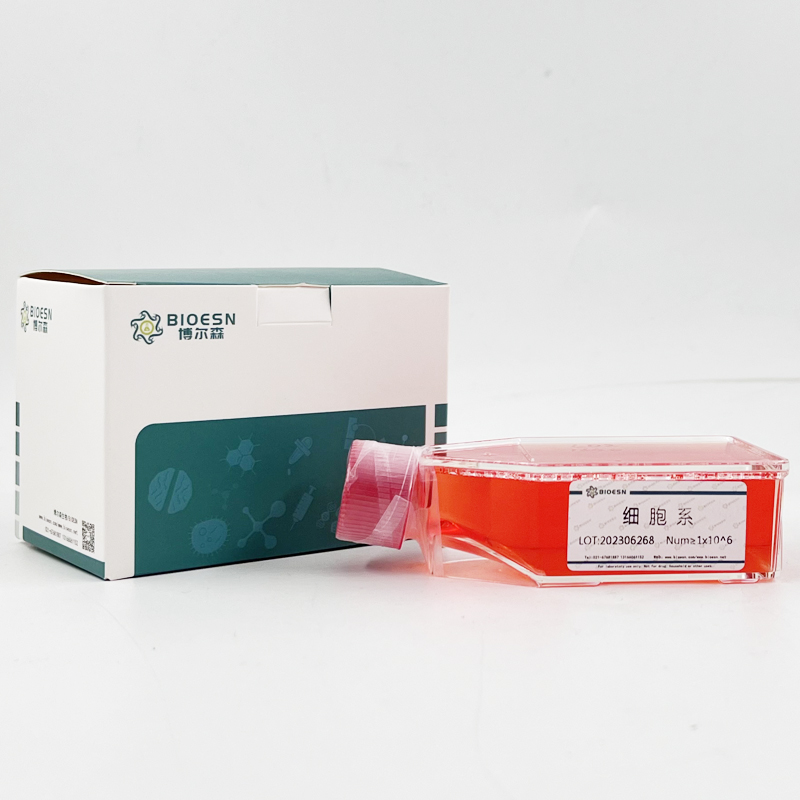 Human神经丝蛋白3(NEF3) ELISA Kit,NEF3 ELISA Kit