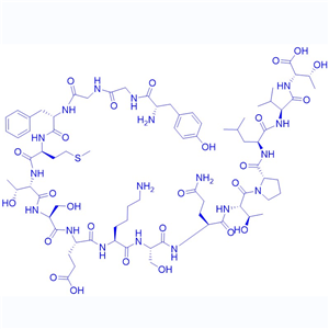β-内啡肽/59004-96-5/内啡肽α-Endorphin