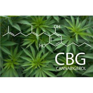 大麻萜酚酸,Cannabigerolic acid