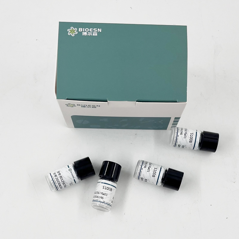 Human淀粉样蛋白β前体样蛋白1(APLP1) ELISA Kit