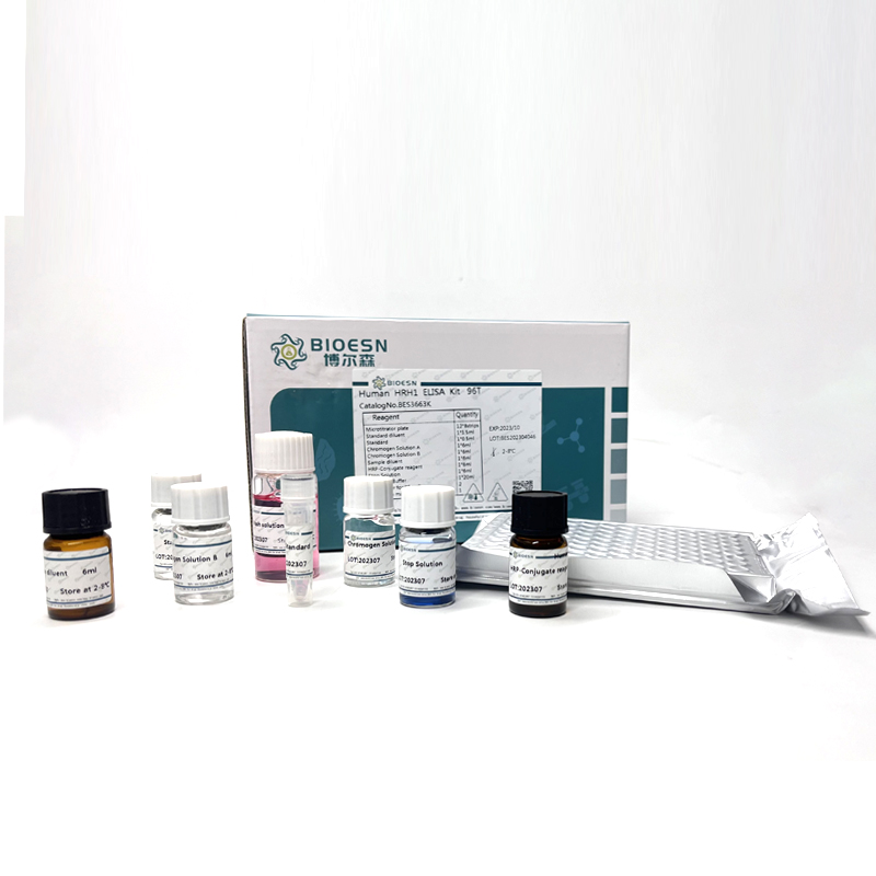 Human精氨酸/丝氨酸丰富剪接因子4(SRSF4) ELISA Kit) ELISA Kit