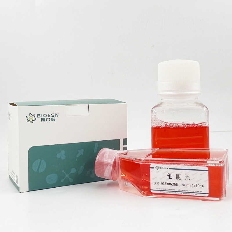 Human泛素交叉反应蛋白(UCRP) ELISA Kit