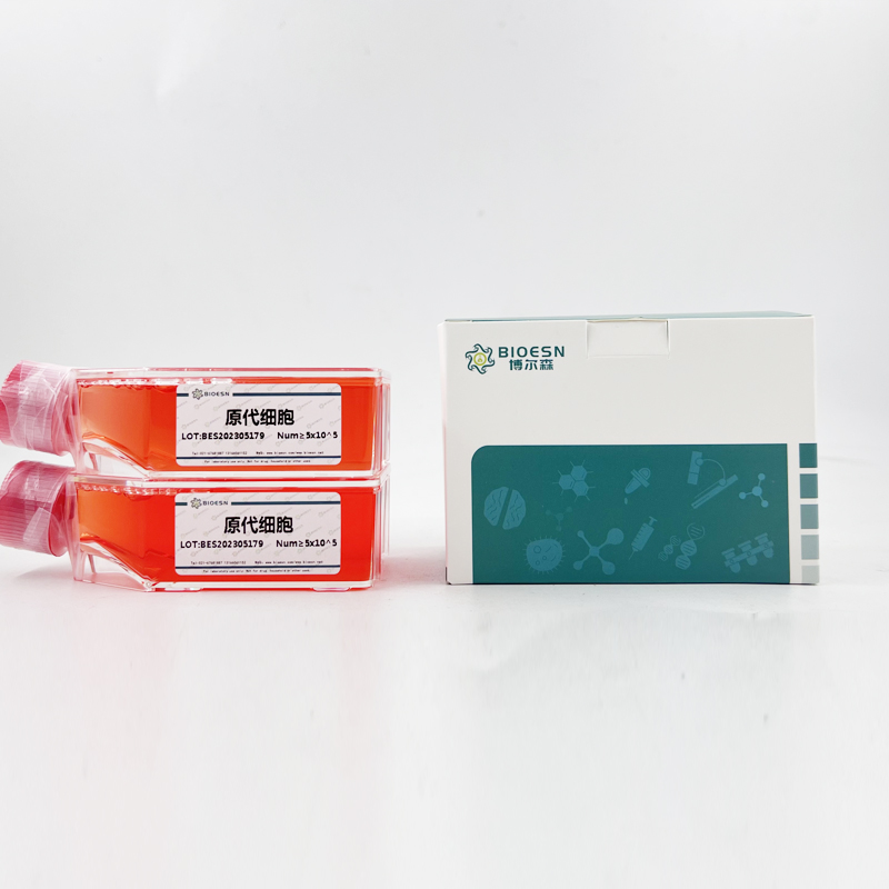Human短腭肺鼻腔上皮癌关联蛋白2(SPLUNC2) ELISA Kit