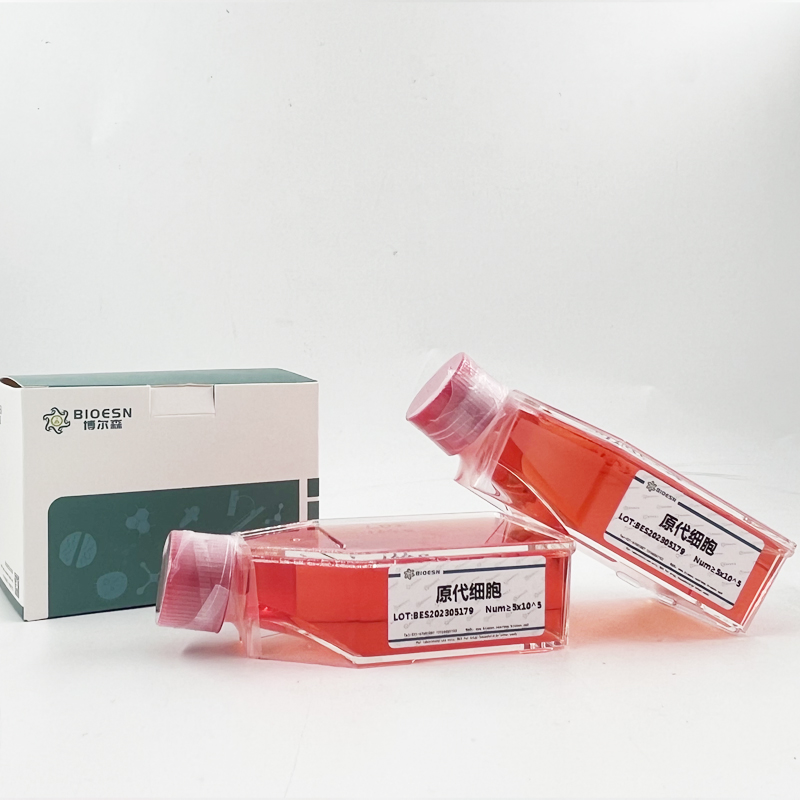 HumanV-Jun肉瘤病毒癌基因同源物(JUN) ELISA Kit