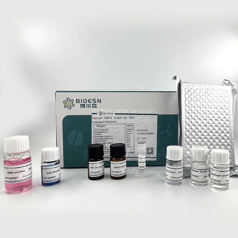 Human糖抗原19-9(CA19-9) ELISA Kit