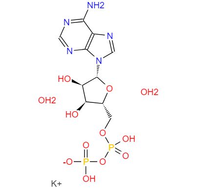 二磷酸腺苷单钾盐,Adenosine 5`-diphosphate monopotassium salt dihydrate