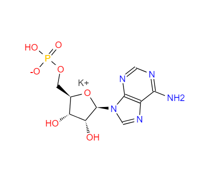 聚腺苷酸钾盐,POLYADENYLIC ACID (5') POTASSIUM SALT