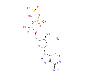2'-脱氧腺苷-5'-三磷酸（dATP.Na3）,2'-Deoxyadenosine-5'-triphosphate trisodium salt