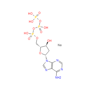 2'-脱氧腺苷-5'-三磷酸（dATP.Na3）