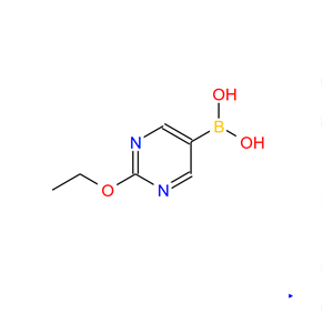 2-乙氧基嘧啶-5-硼酸