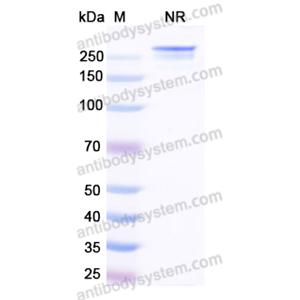 Research Grade Forimtamig  (DHK07702)