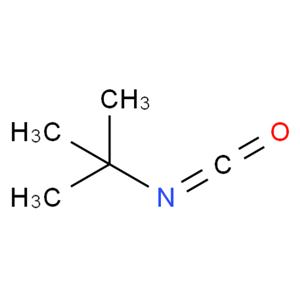 叔丁基异氰酸酯