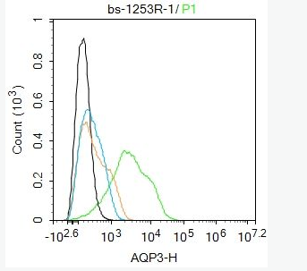 AQP3 水通道蛋白-3抗体,AQP3