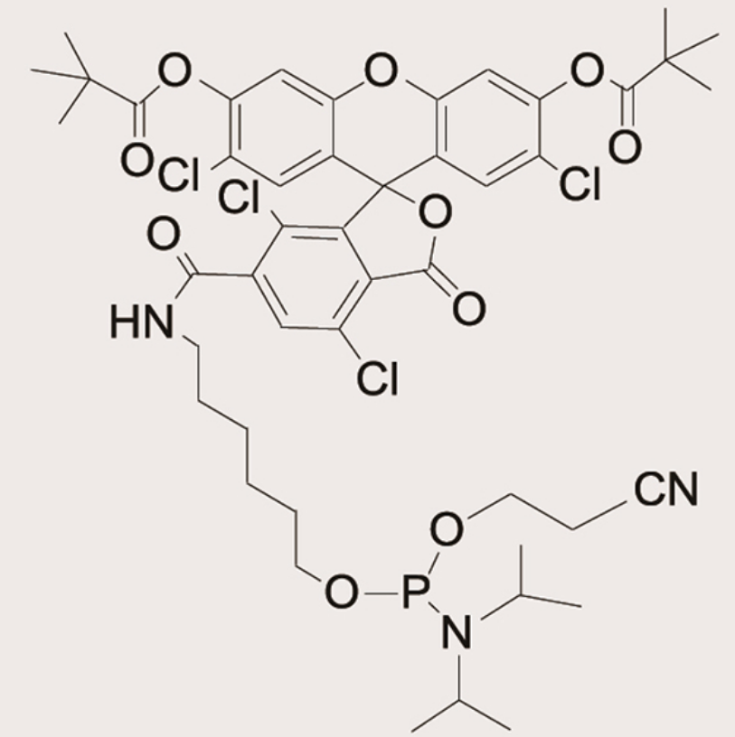 6-TET Phosphoramidite,6-TET Phosphoramidite