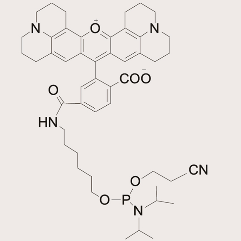 6-ROX-Phosphoramidite,6-ROX-Phosphoramidite