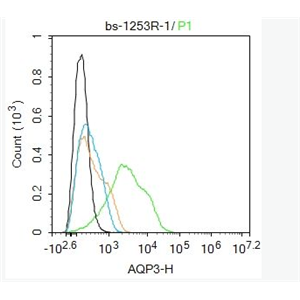AQP3 水通道蛋白-3抗体,AQP3