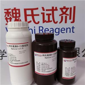 兩性霉素B,Amphotericin B