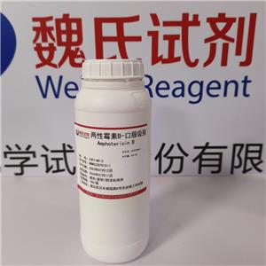 兩性霉素B,Amphotericin B