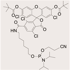 6-TET Phosphoramidite