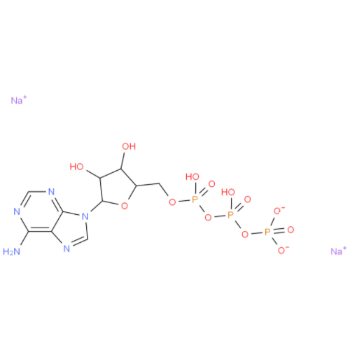 三磷酸腺苷二钠盐,ADENOSINE 5'-TRIPHOSPHATE DISODIUM SALT