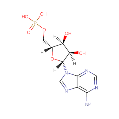 5'-腺苷酸,Adenosine 5'-monophosphate