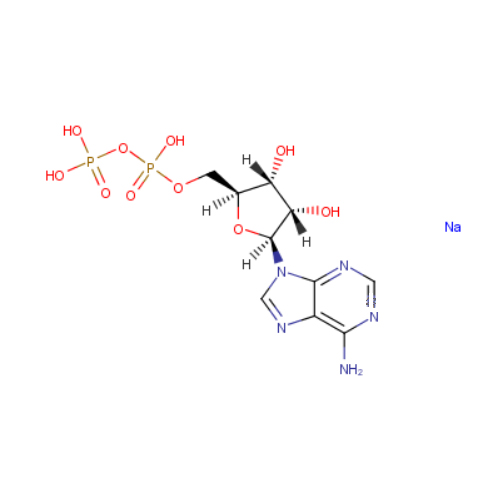 ADP,5'二磷酸腺苷钠盐,ADENOSINE 5'-DIPHOSPHATE SODIUM SALT