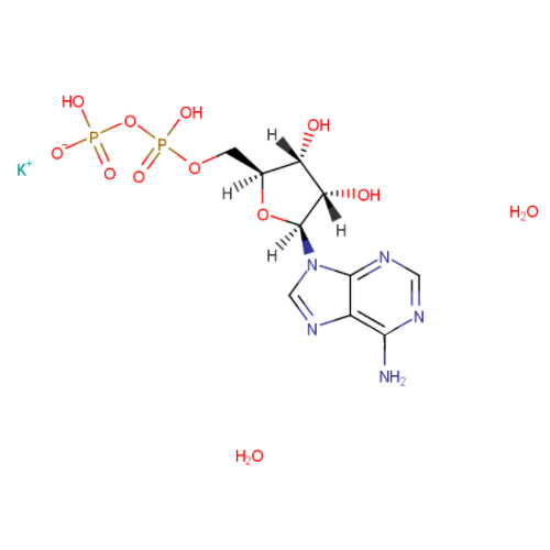 二磷酸腺苷單鉀鹽,ADENOSINE 5'-DIPHOSPHATE MONOPOTASSIUM SALT