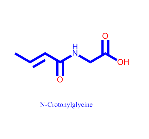 N-Crotonylglycine,N-Crotonylglycine