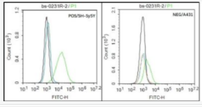 PDGFRA 血小板源性生长因子受体A/PDGFRα抗体,PDGFRA