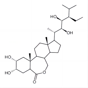 28-表高芸苔素内酯;表高油菜素内酯,22(S),23(S)-HOMOBRASSINOLIDE