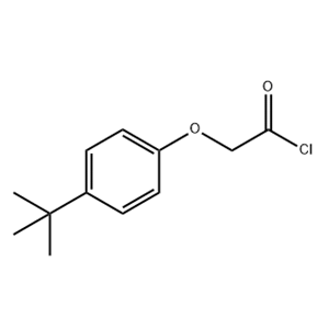 4-叔-丁基苯氧基乙?；?4-TERT-BUTYLPHENOXYACETYL CHLORIDE