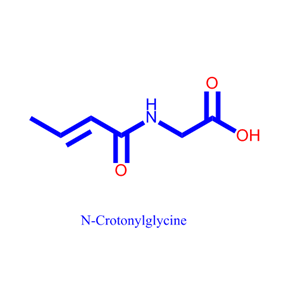 N-Crotonylglycine,N-Crotonylglycine