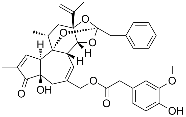 树脂毒素,Resiniferatoxin