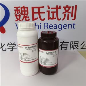 头孢唑肟钠,ceftizoxime sodium