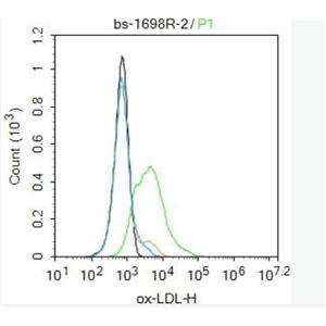 ox-LDL 氧化低密度脂蛋白抗体