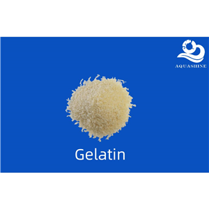 明胶,gelatin