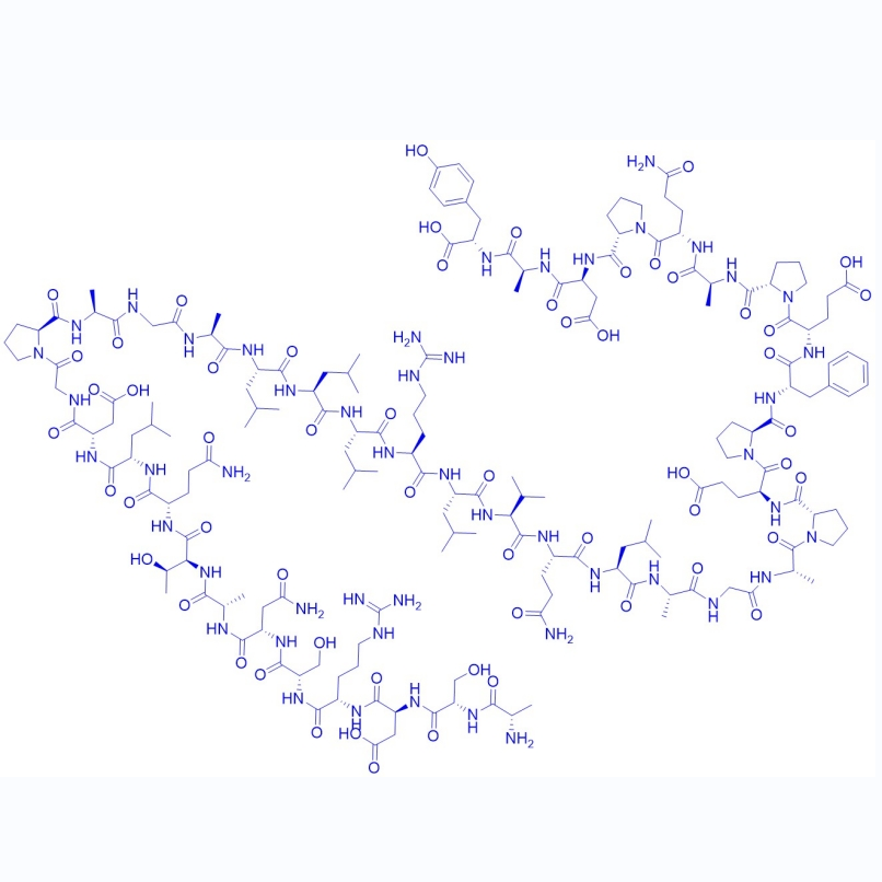 和肽素,Copeptin (human)