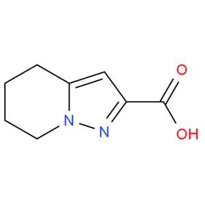 吡唑[1,5-A] 4,5,6,7-四氢吡啶-2-羧酸
