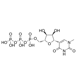 三磷酸假尿苷三钠盐100mM 水溶液,N1-methyl-pseudouridine 5